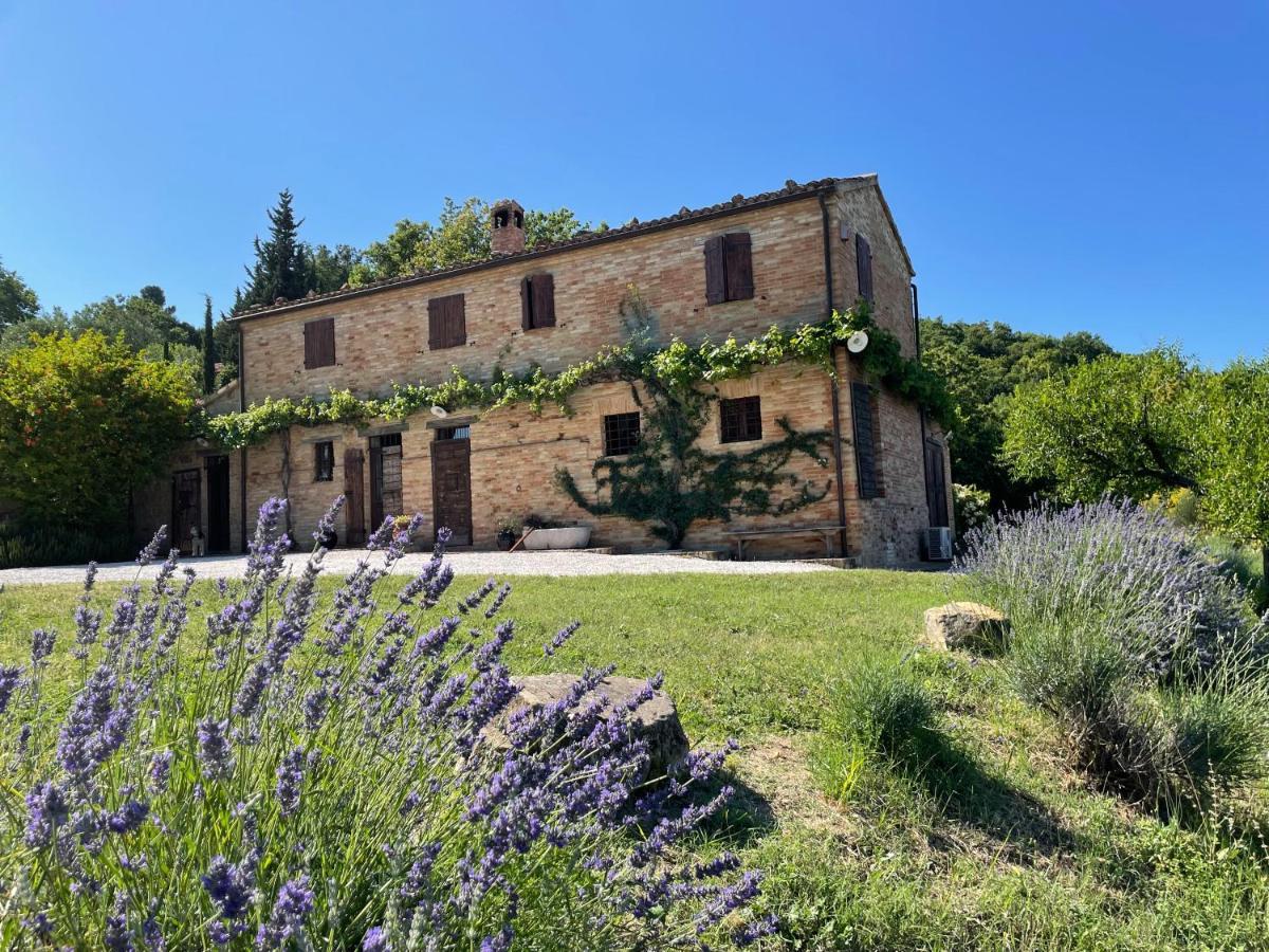 Bed and Breakfast L'Infinito Mombaroccio Exterior foto